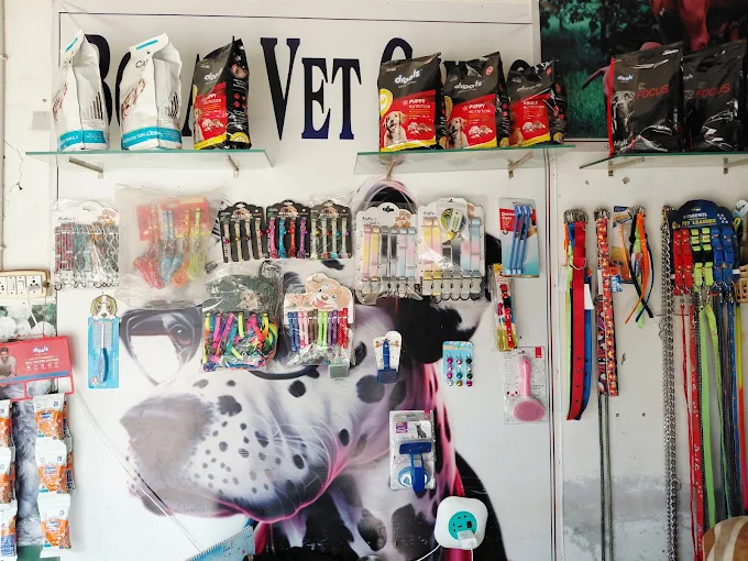 Puppy with blue eyes